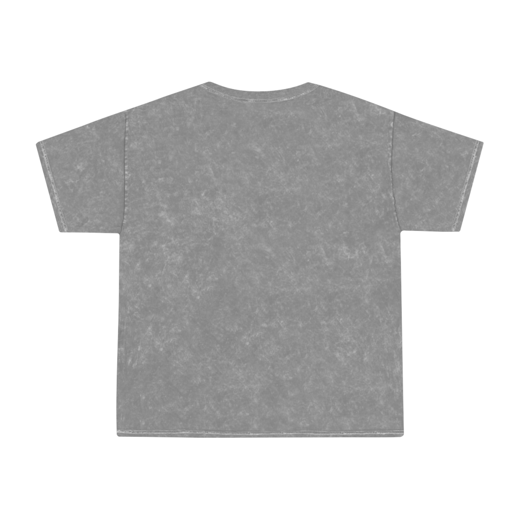 2024 Unisex Mineral Wash T-Shirt